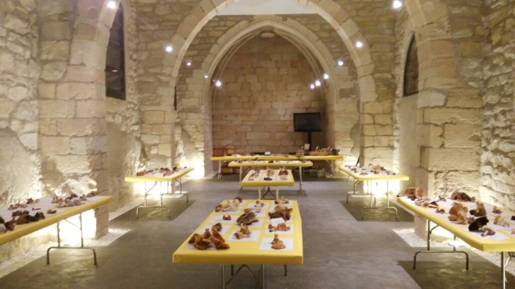 jornadas_micologicas_benabarre_albergue_capilla